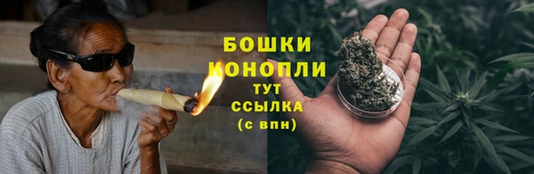 ПСИЛОЦИБИНОВЫЕ ГРИБЫ Вязьма