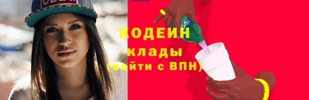 ПСИЛОЦИБИНОВЫЕ ГРИБЫ Вязьма