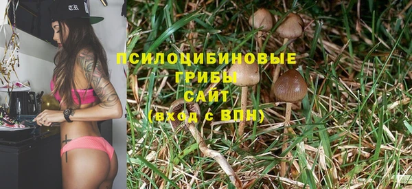 ПСИЛОЦИБИНОВЫЕ ГРИБЫ Вязьма