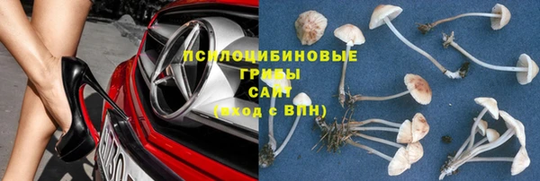 МДПВ Тобольск