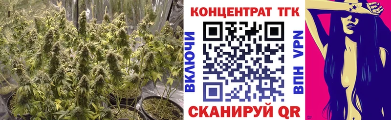 ТГК THC oil  где можно купить   Мезень 