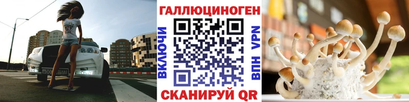 KRAKEN как войти  Мезень  Псилоцибиновые грибы мухоморы 